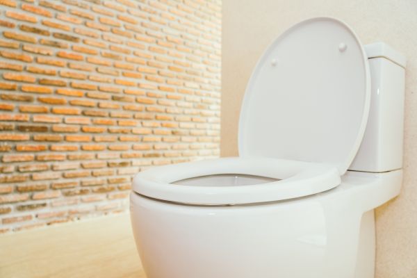 Cost of Toilet Seat Repair in Worcester